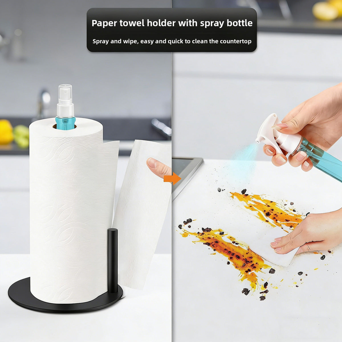 Stainless Steel Paper Towel Holder