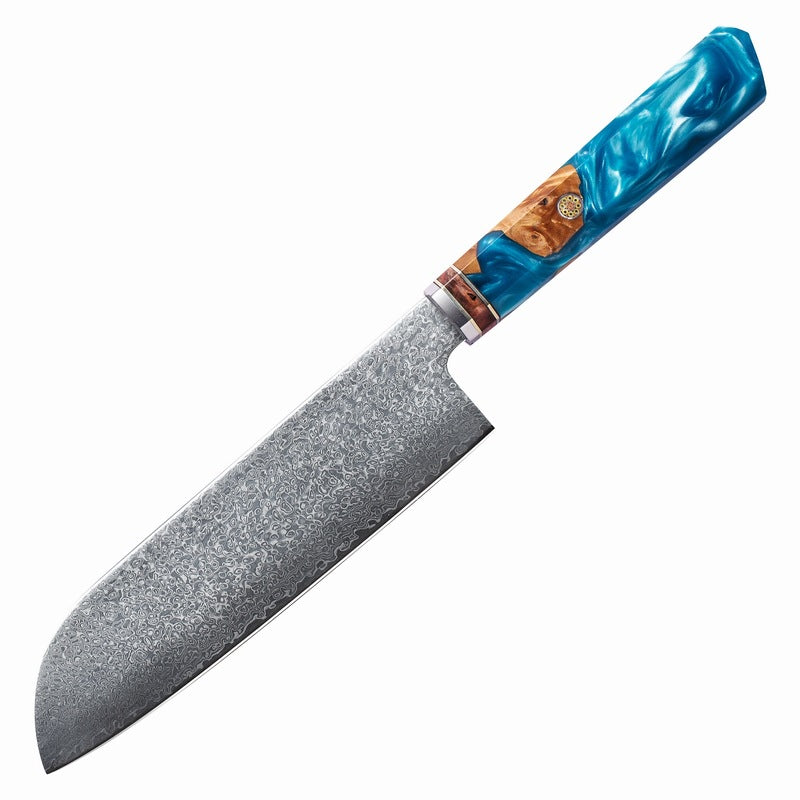 Premium Chef's Knife Set