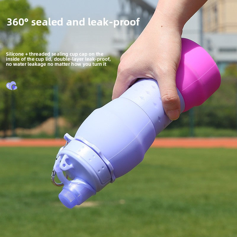 Collapsible Silicone Travel Water Bottle