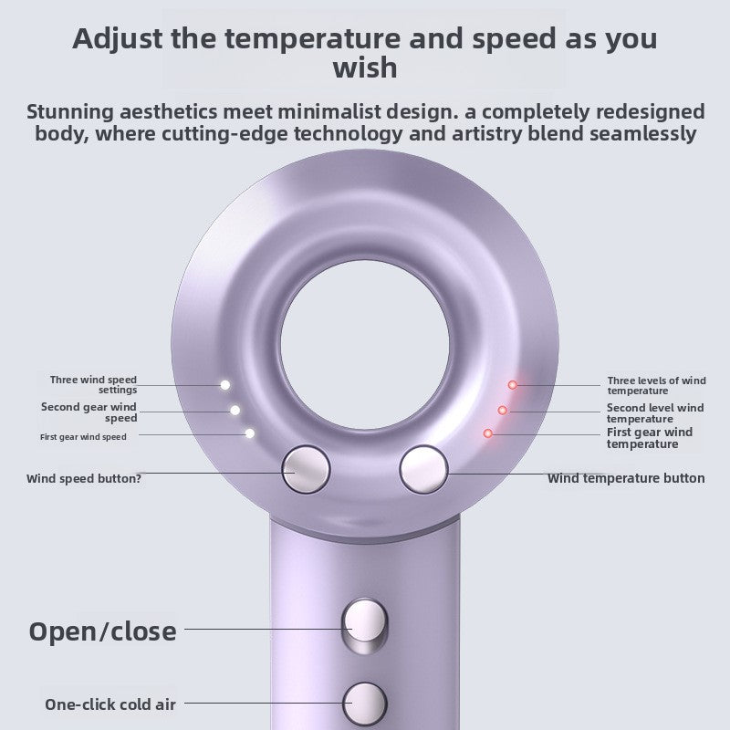 Professional Ionic Hair Dryer