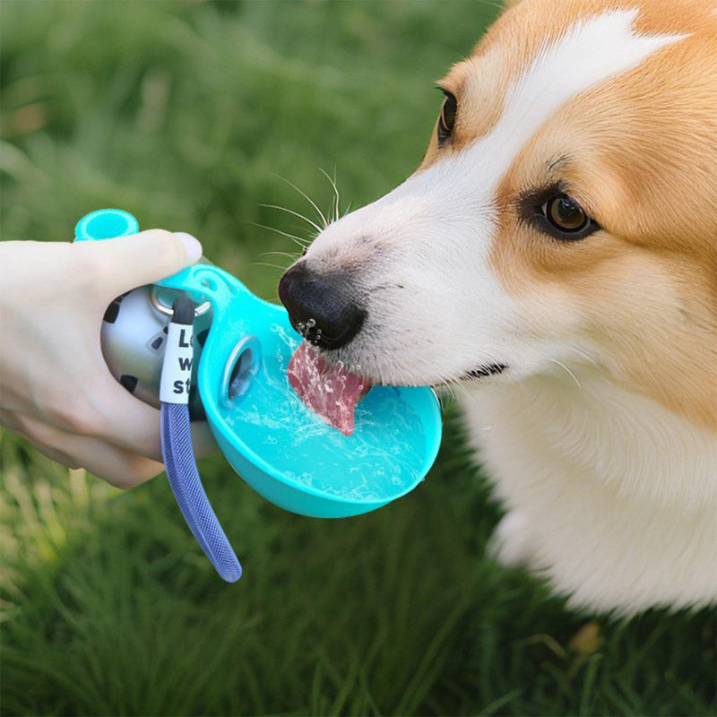 Collapsible Pet Travel Water Bottle
