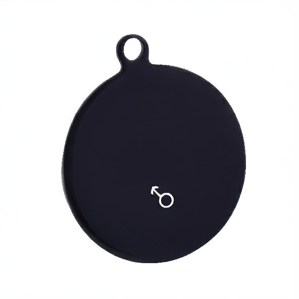 Personalized Stainless Steel Pet ID Tag