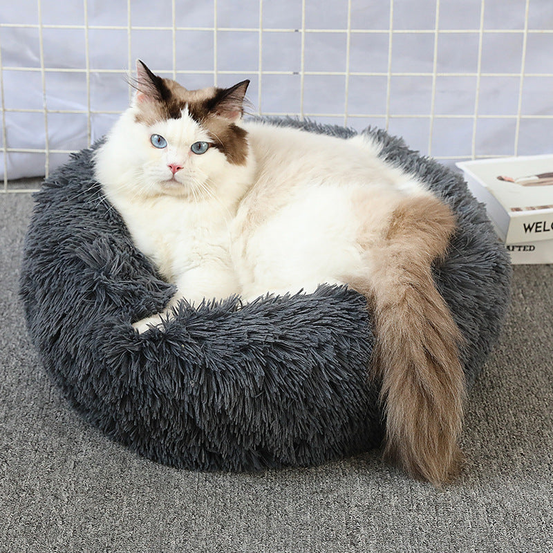 Orthopedic Pet Bed