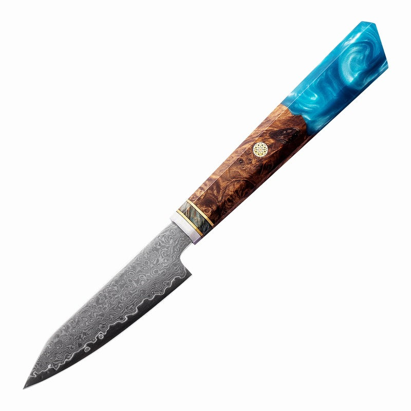 Premium Chef's Knife Set